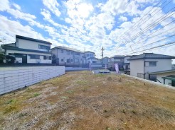 1号地
