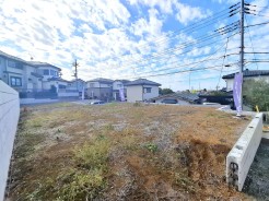 1号地